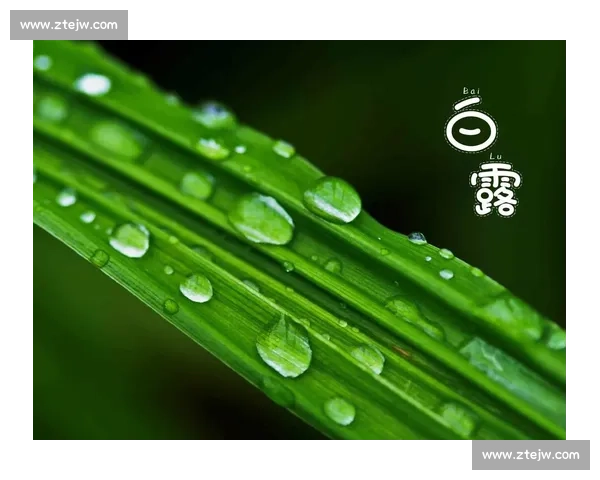 白露时节探秘:秋意渐浓,如何感受与养生最佳时机 白露时节探秘:秋意渐浓,如何感受与养生最佳时机